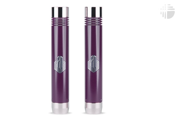 BeesNeez Lulu Tube SDC